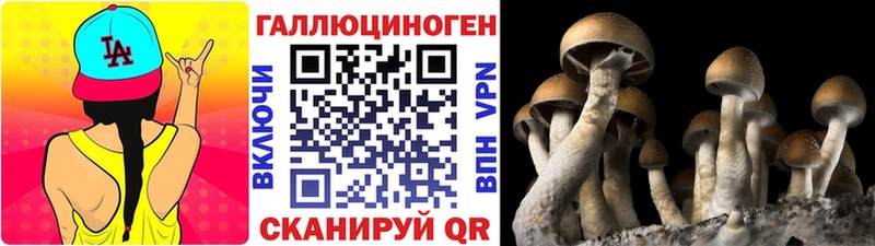 Псилоцибиновые грибы Cubensis  магазин    Заринск 