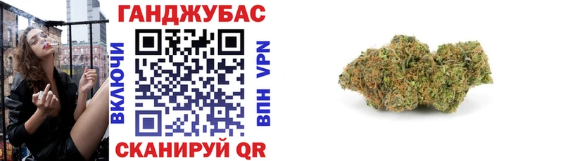 где продают   Заринск  Конопля SATIVA & INDICA 